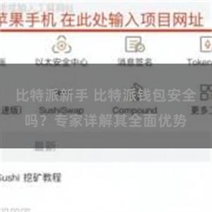 比特派新手 比特派钱包安全吗？专家详解其全面优势