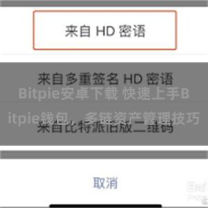 Bitpie安卓下载 快速上手Bitpie钱包，多链资产管理技巧