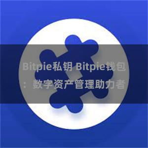 Bitpie私钥 Bitpie钱包：数字资产管理助力者