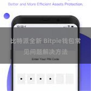 比特派全新 Bitpie钱包常见问题解决方法