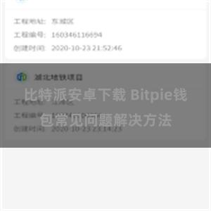 比特派安卓下载 Bitpie钱包常见问题解决方法