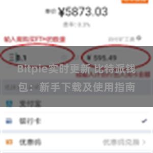 Bitpie实时更新 比特派钱包：新手下载及使用指南