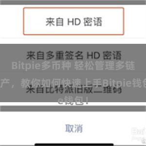 Bitpie多币种 轻松管理多链资产，教你如何快速上手Bitpie钱包！