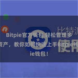 Bitpie官方钱包 轻松管理多链资产，教你如何快速上手Bitpie钱包！