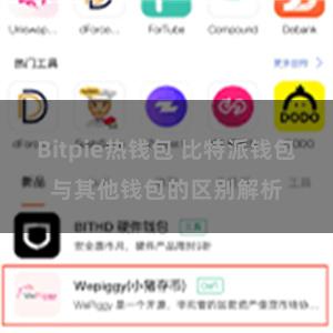 Bitpie热钱包 比特派钱包与其他钱包的区别解析