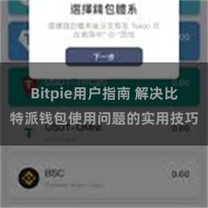 Bitpie用户指南 解决比特派钱包使用问题的实用技巧