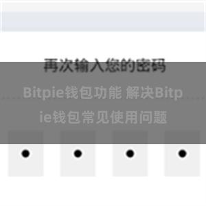 Bitpie钱包功能 解决Bitpie钱包常见使用问题