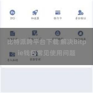 比特派跨平台下载 解决Bitpie钱包常见使用问题