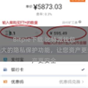 Bitpie下载 比特派钱包：强大的隐私保护功能，让您资产更安全