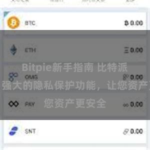 Bitpie新手指南 比特派钱包：强大的隐私保护功能，让您资产更安全