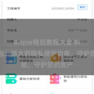 Bitpie钱包教程大全 Bitpie钱包：强大的隐私保护功能，守护您的资产