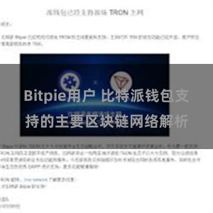 Bitpie用户 比特派钱包支持的主要区块链网络解析