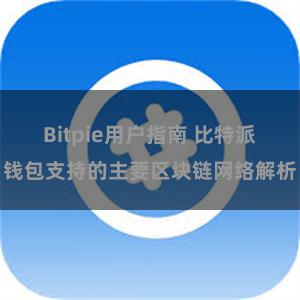 Bitpie用户指南 比特派钱包支持的主要区块链网络解析