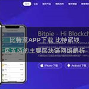 比特派APP下载 比特派钱包支持的主要区块链网络解析