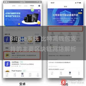 Bitpie系统 比特派钱包支持的主要区块链网络解析