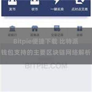 Bitpie便捷下载 比特派钱包支持的主要区块链网络解析