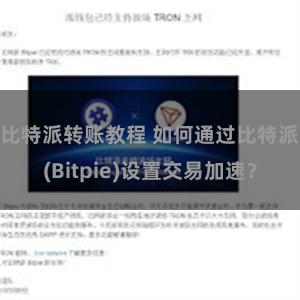 比特派转账教程 如何通过比特派(Bitpie)设置交易加速？