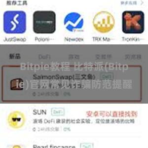 Bitpie教程 比特派(Bitpie)官网常见诈骗防范提醒