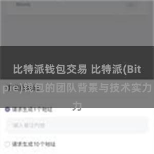 比特派钱包交易 比特派(Bitpie)钱包的团队背景与技术实力