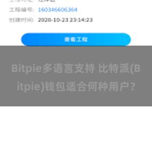 Bitpie多语言支持 比特派(Bitpie)钱包适合何种用户？