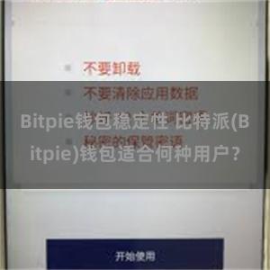 Bitpie钱包稳定性 比特派(Bitpie)钱包适合何种用户？